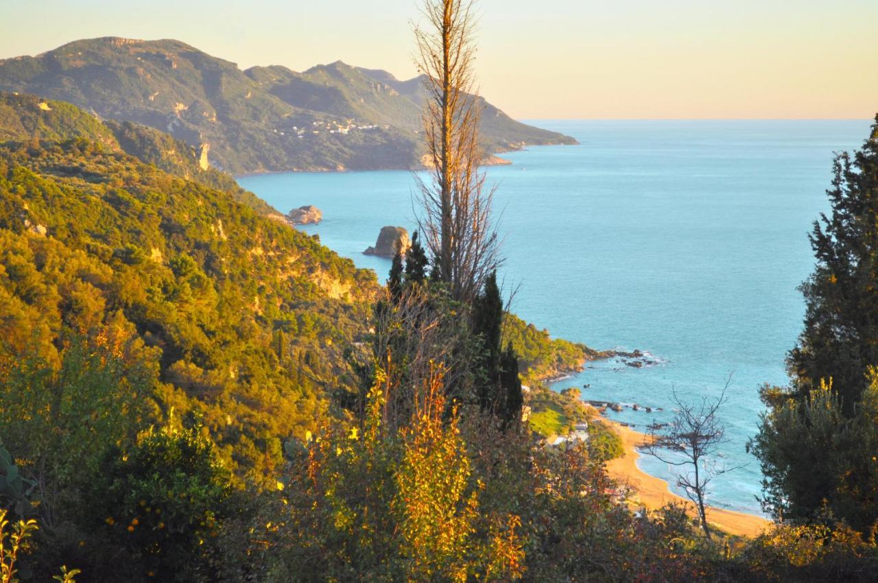 House Lemoni, C - Pelekas, Corfu Apartment